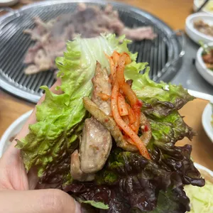 산골오리 사진