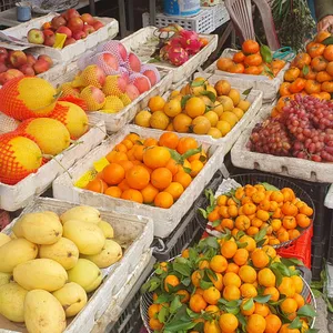 다미 HANOI 쌀국수 사진