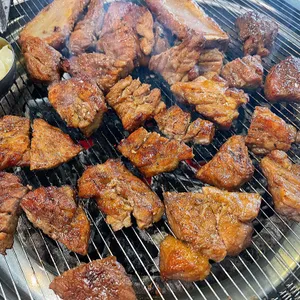 갯벌낙지 사진