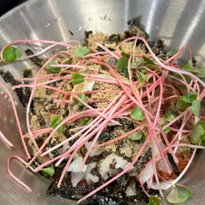 이레담막국수 리뷰 사진