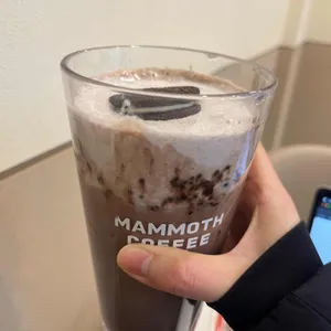 매머드익스프레스 사진