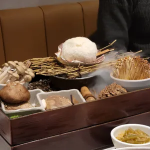 노야 사진