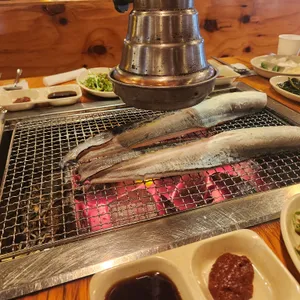 장어사냥 사진