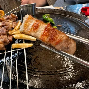 고기가 사진