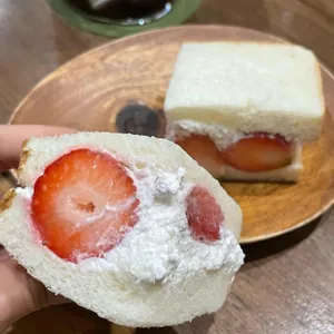 재킨보아즈 사진