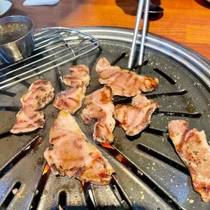 부산갈매기 사진