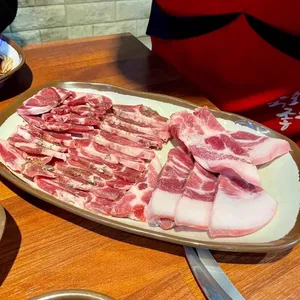 부산갈매기 사진