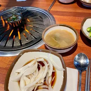 부산갈매기 사진