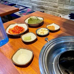 부산갈매기 사진