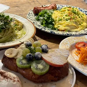 카멜리아 사진