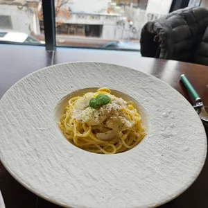 바이탈 바이브 사진