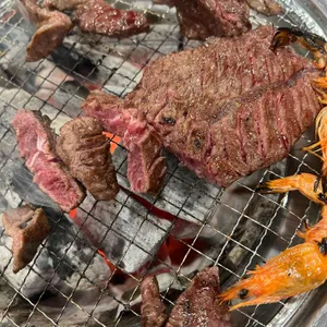 장어훔친소도둑 사진