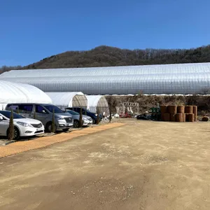 강민주의들밥 리뷰 사진