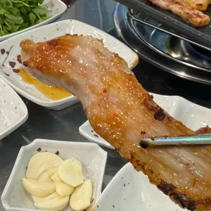 통통돼지 사진