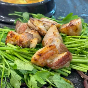 통통돼지 사진