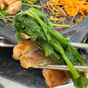 통통돼지 사진