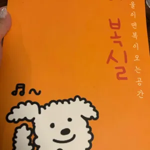 이복실 리뷰 사진