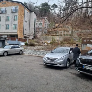 제주면장 리뷰 사진
