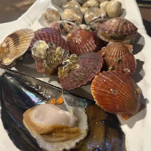 조개폭식 사진