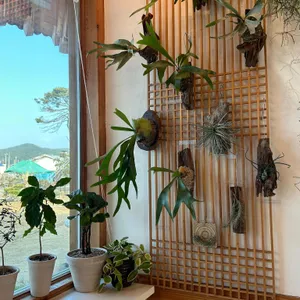 카르폰 리뷰 사진