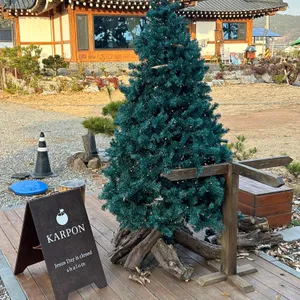 카르폰 리뷰 사진