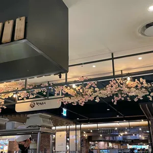 본가스시 리뷰 사진