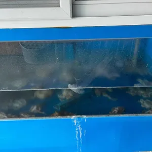힘찬낙지 리뷰 사진