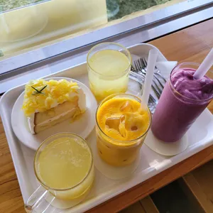보통날 사진