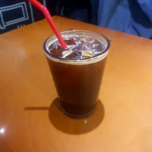브리스톳 사진