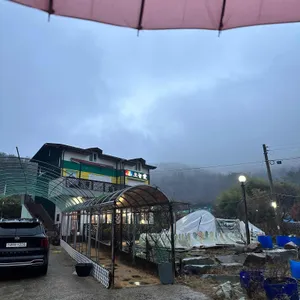 오늘애 리뷰 사진