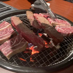 소사냥 사진