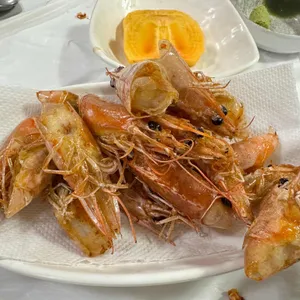 고래와새우 사진