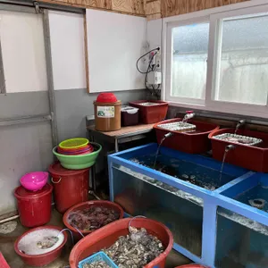 안섬포장마차 리뷰 사진