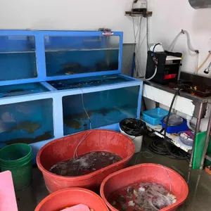 안섬포장마차 리뷰 사진