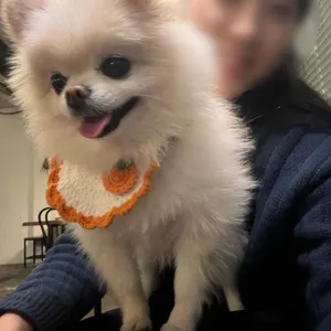커피가게 동경 리뷰 사진