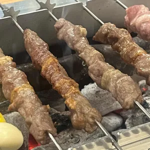 늑대와양 사진