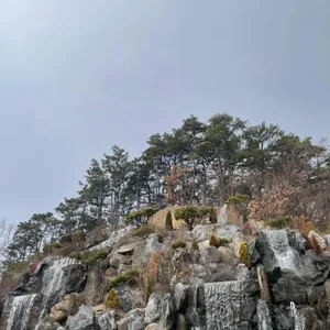 수라일미 리뷰 사진