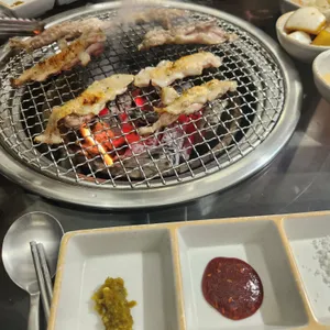 은화계 사진
