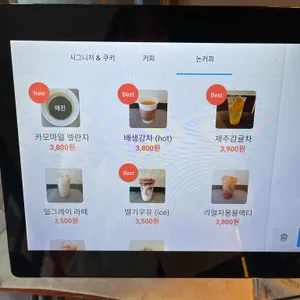 브라운 컬렉션 리뷰 사진