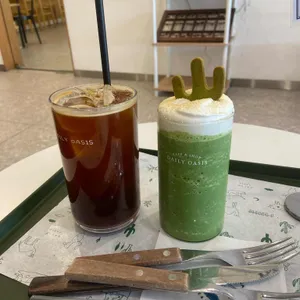 데일리오아시스 사진