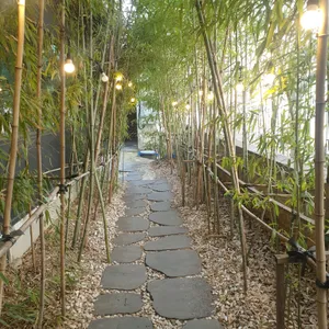 로맨티움 리뷰 사진