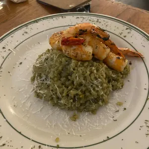 조밀 사진