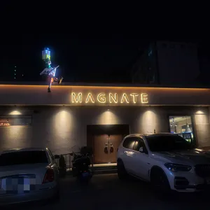 메그네이트 리뷰 사진