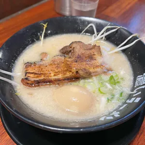 코이라멘 사진