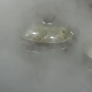 만두가 사진