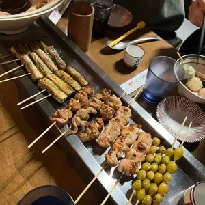 도리토리 사진
