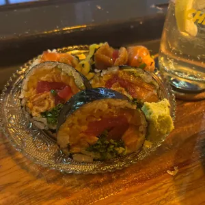 치타 사진