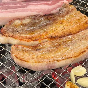 꽃돼지 사진