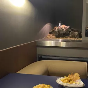콜트 커피바 리뷰 사진