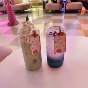 비비하우스 사진
